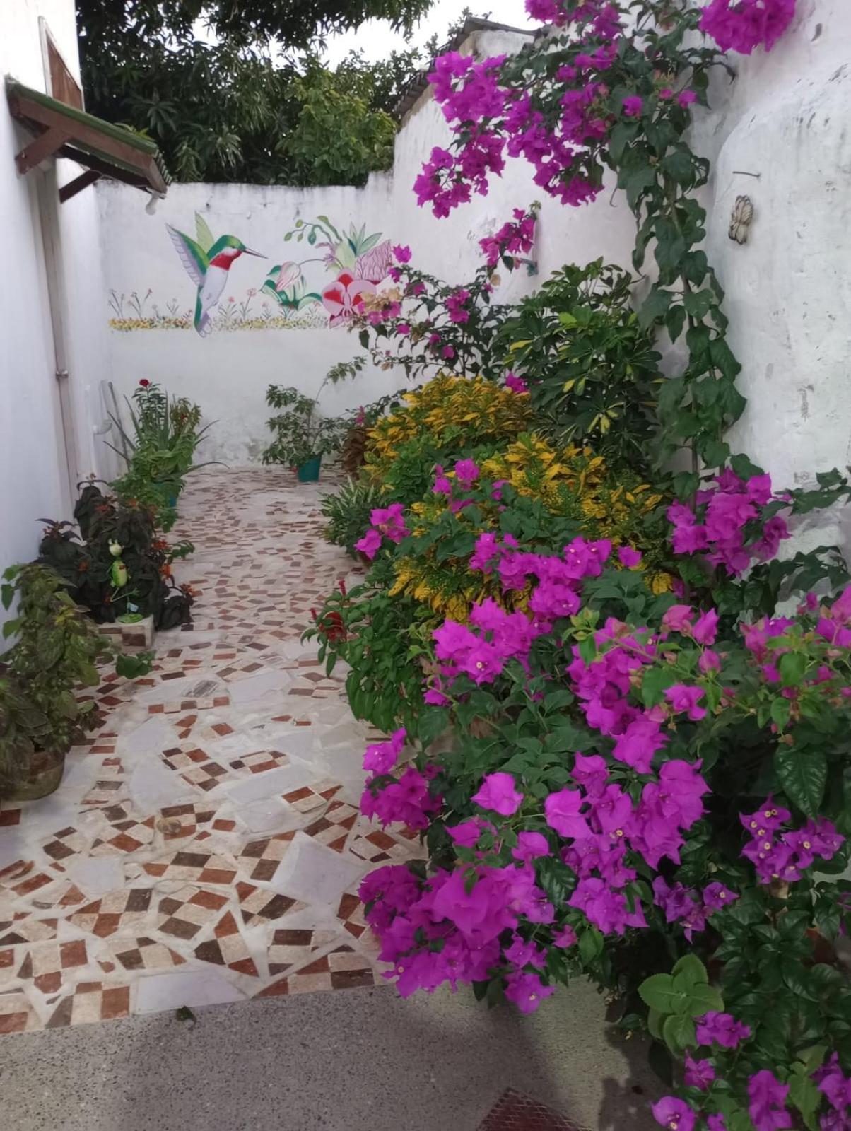 Hospedaje Casa Pachi En Cartagena De Indias Exterior foto